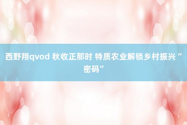 西野翔qvod 秋收正那时 特质农业解锁乡村振兴“密码”