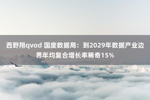 西野翔qvod 国度数据局：到2029年数据产业边界年均复合增长率稀奇15%