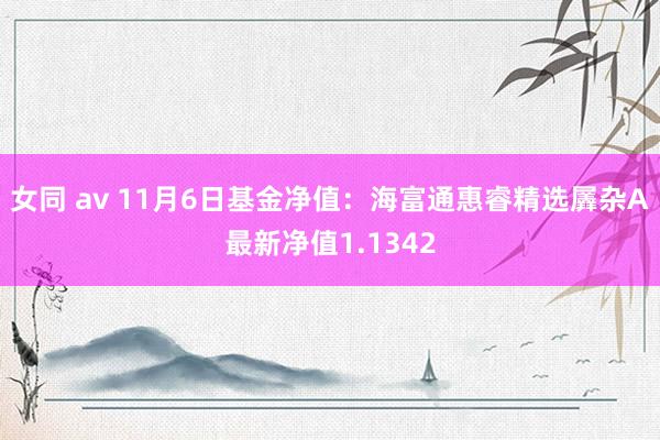 女同 av 11月6日基金净值：海富通惠睿精选羼杂A最新净值1.1342
