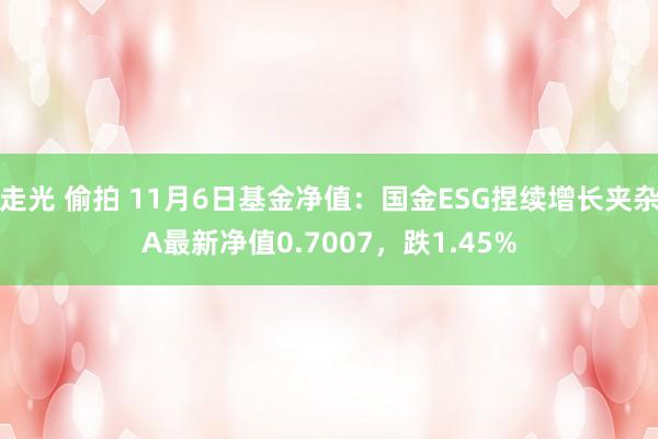 走光 偷拍 11月6日基金净值：国金ESG捏续增长夹杂A最新净值0.7007，跌1.45%