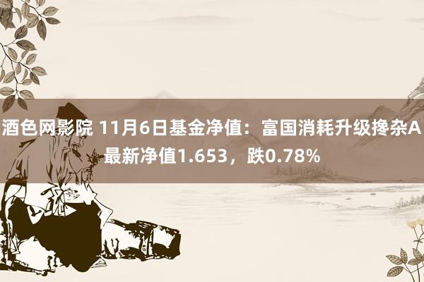 酒色网影院 11月6日基金净值：富国消耗升级搀杂A最新净值1.653，跌0.78%