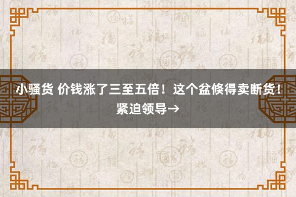 小骚货 价钱涨了三至五倍！这个盆倏得卖断货！紧迫领导→