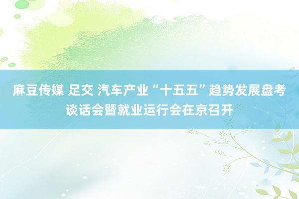 麻豆传媒 足交 汽车产业“十五五”趋势发展盘考谈话会暨就业运行会在京召开