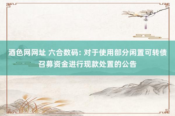 酒色网网址 六合数码: 对于使用部分闲置可转债召募资金进行现款处置的公告