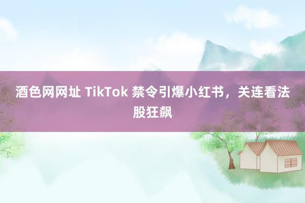 酒色网网址 TikTok 禁令引爆小红书，关连看法股狂飙