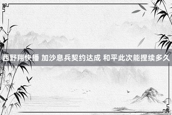 西野翔快播 加沙息兵契约达成 和平此次能捏续多久