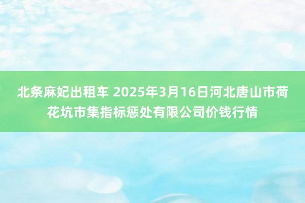 北条麻妃出租车 2025年3月16日河北唐山市荷花坑市集指标惩处有限公司价钱行情