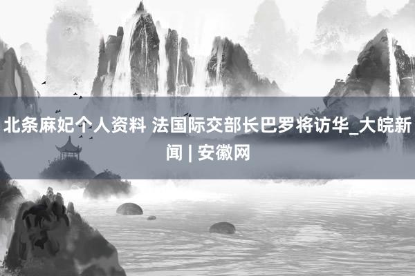 北条麻妃个人资料 法国际交部长巴罗将访华_大皖新闻 | 安徽网