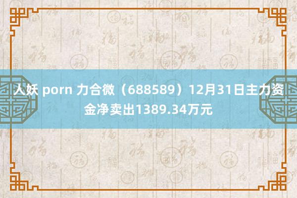 人妖 porn 力合微（688589）12月31日主力资金净卖出1389.34万元