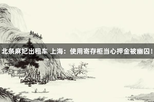 北条麻妃出租车 上海：使用寄存柜当心押金被幽囚！
