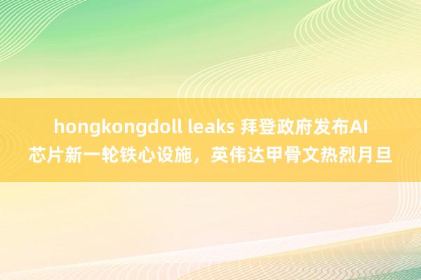 hongkongdoll leaks 拜登政府发布AI芯片新一轮铁心设施，英伟达甲骨文热烈月旦