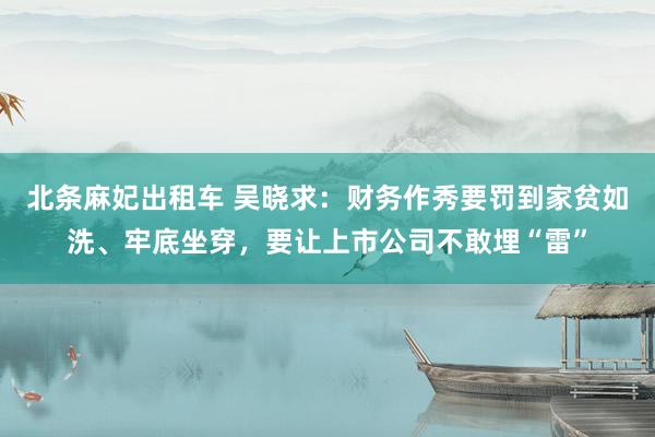 北条麻妃出租车 吴晓求：财务作秀要罚到家贫如洗、牢底坐穿，要让上市公司不敢埋“雷”