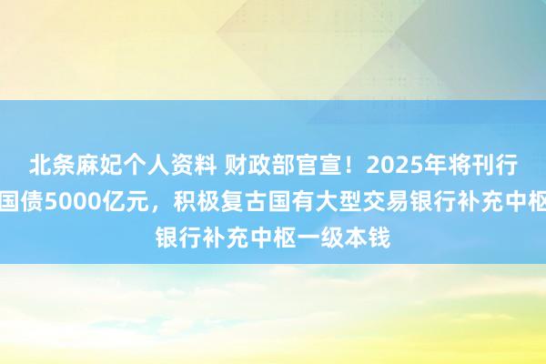 北条麻妃个人资料 财政部官宣！2025年将刊行首批越过国债5000亿元，积极复古国有大型交易银行补充中枢一级本钱