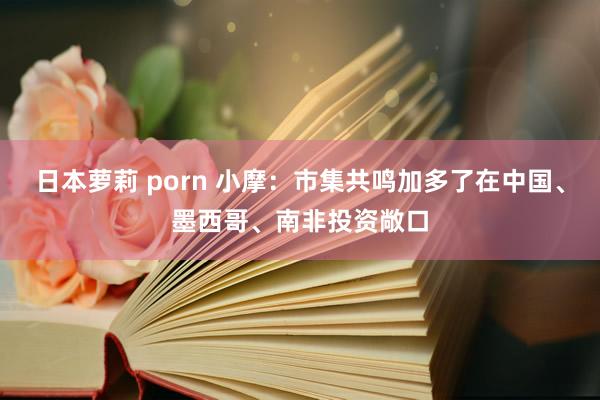 日本萝莉 porn 小摩：市集共鸣加多了在中国、墨西哥、南非投资敞口