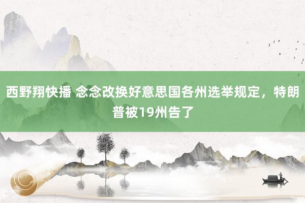 西野翔快播 念念改换好意思国各州选举规定，特朗普被19州告了