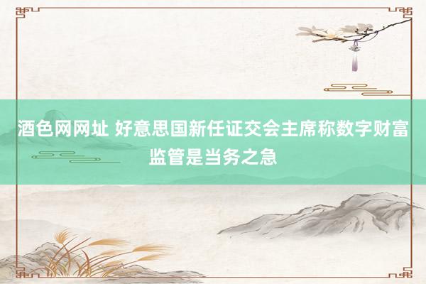 酒色网网址 好意思国新任证交会主席称数字财富监管是当务之急
