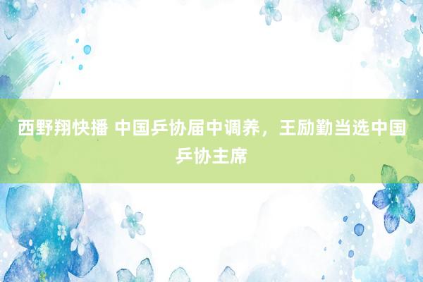 西野翔快播 中国乒协届中调养，王励勤当选中国乒协主席