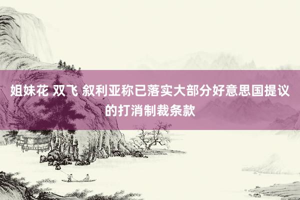 姐妹花 双飞 叙利亚称已落实大部分好意思国提议的打消制裁条款