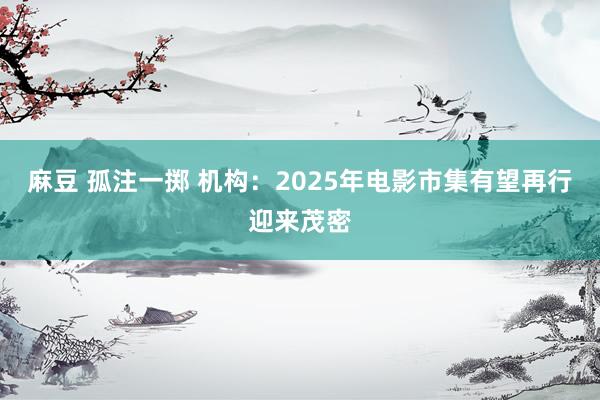 麻豆 孤注一掷 机构：2025年电影市集有望再行迎来茂密